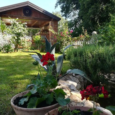 Apartment Cajt Умаг Екстер'єр фото